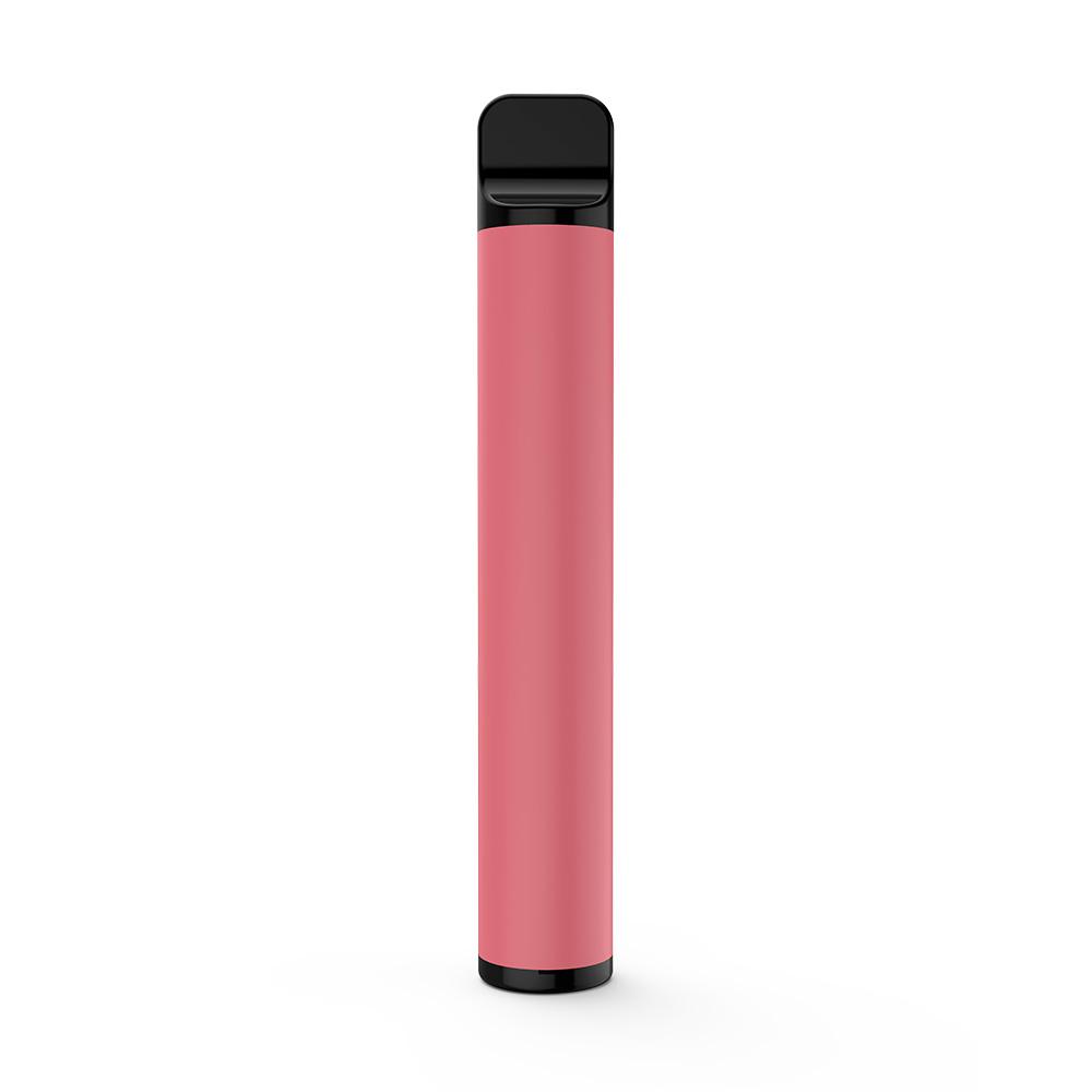 Disposable Vape 800 Puffs 550mAh